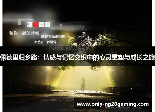 佩德里归乡路：情感与记忆交织中的心灵重塑与成长之旅