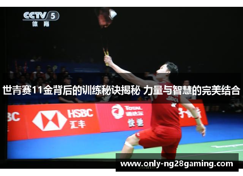 世青赛11金背后的训练秘诀揭秘 力量与智慧的完美结合 世青赛11金背后的训练秘诀揭秘 力量与智慧的完美结合