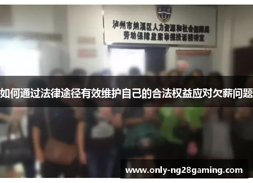 如何通过法律途径有效维护自己的合法权益应对欠薪问题