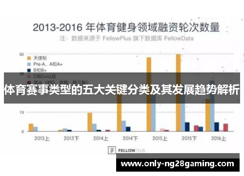 体育赛事类型的五大关键分类及其发展趋势解析