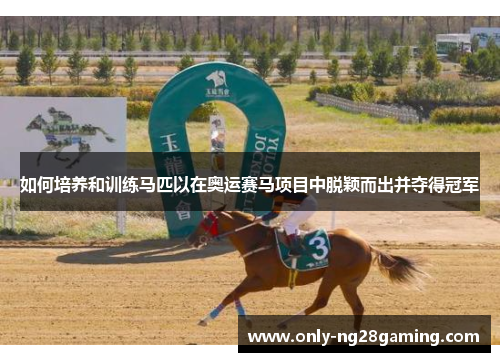 如何培养和训练马匹以在奥运赛马项目中脱颖而出并夺得冠军