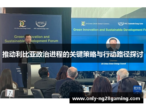 推动利比亚政治进程的关键策略与行动路径探讨