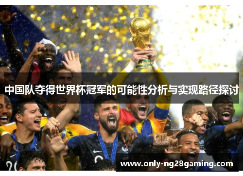 中国队夺得世界杯冠军的可能性分析与实现路径探讨