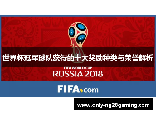 世界杯冠军球队获得的十大奖励种类与荣誉解析