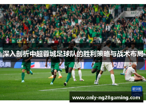 深入剖析中超蓉城足球队的胜利策略与战术布局 深入剖析中超蓉城足球队的胜利策略与战术布局