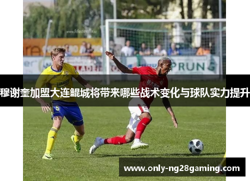 穆谢奎加盟大连鲲城将带来哪些战术变化与球队实力提升 穆谢奎加盟大连鲲城将带来哪些战术变化与球队实力提升