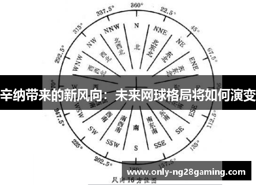 辛纳带来的新风向：未来网球格局将如何演变
