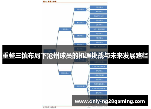 重整三镇布局下沧州球员的机遇挑战与未来发展路径 重整三镇布局下沧州球员的机遇挑战与未来发展路径
