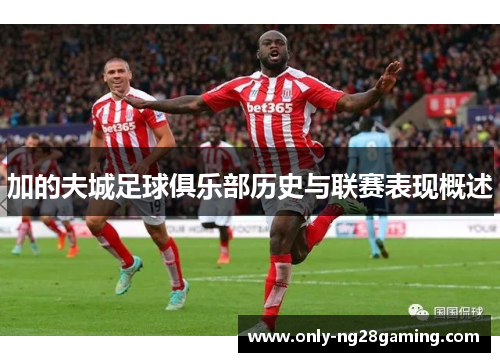 加的夫城足球俱乐部历史与联赛表现概述