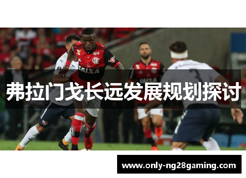 弗拉门戈长远发展规划探讨 弗拉门戈长远发展规划探讨