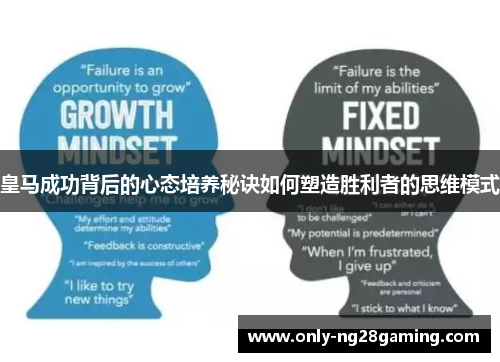 皇马成功背后的心态培养秘诀如何塑造胜利者的思维模式 皇马成功背后的心态培养秘诀如何塑造胜利者的思维模式